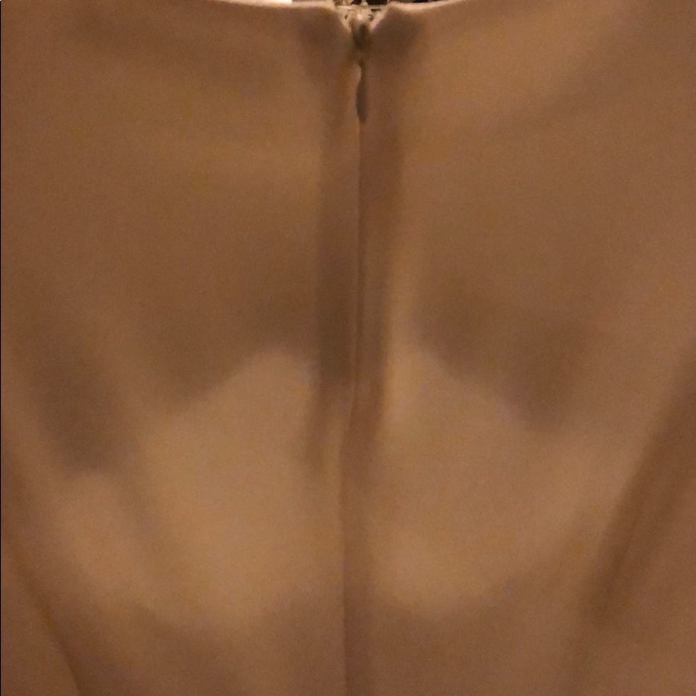 Alexander McQueen Cream skit long sleeve dress - Picture 5 of 5